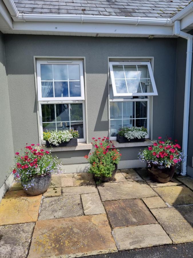 Highfield House Bed And Breakfast Collinstown Collinstown  Exterior foto